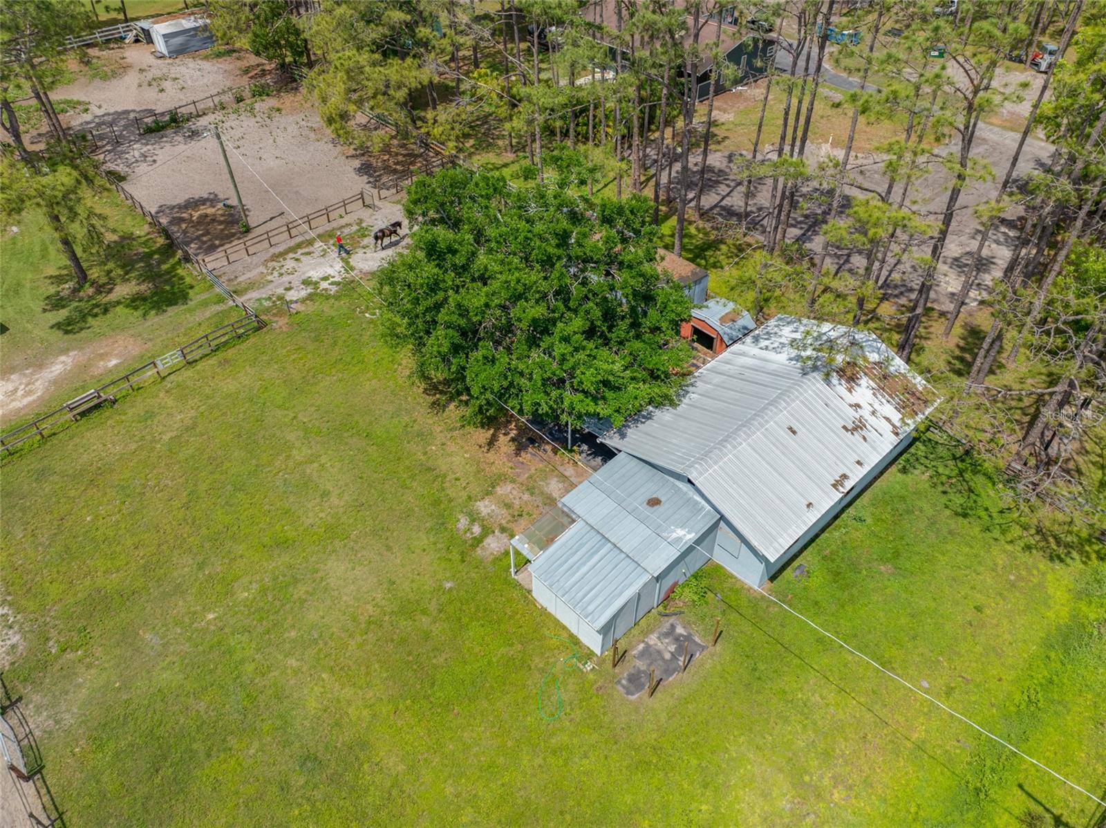 12511 TYLER RUN AVE, ODESSA, FL, 33556