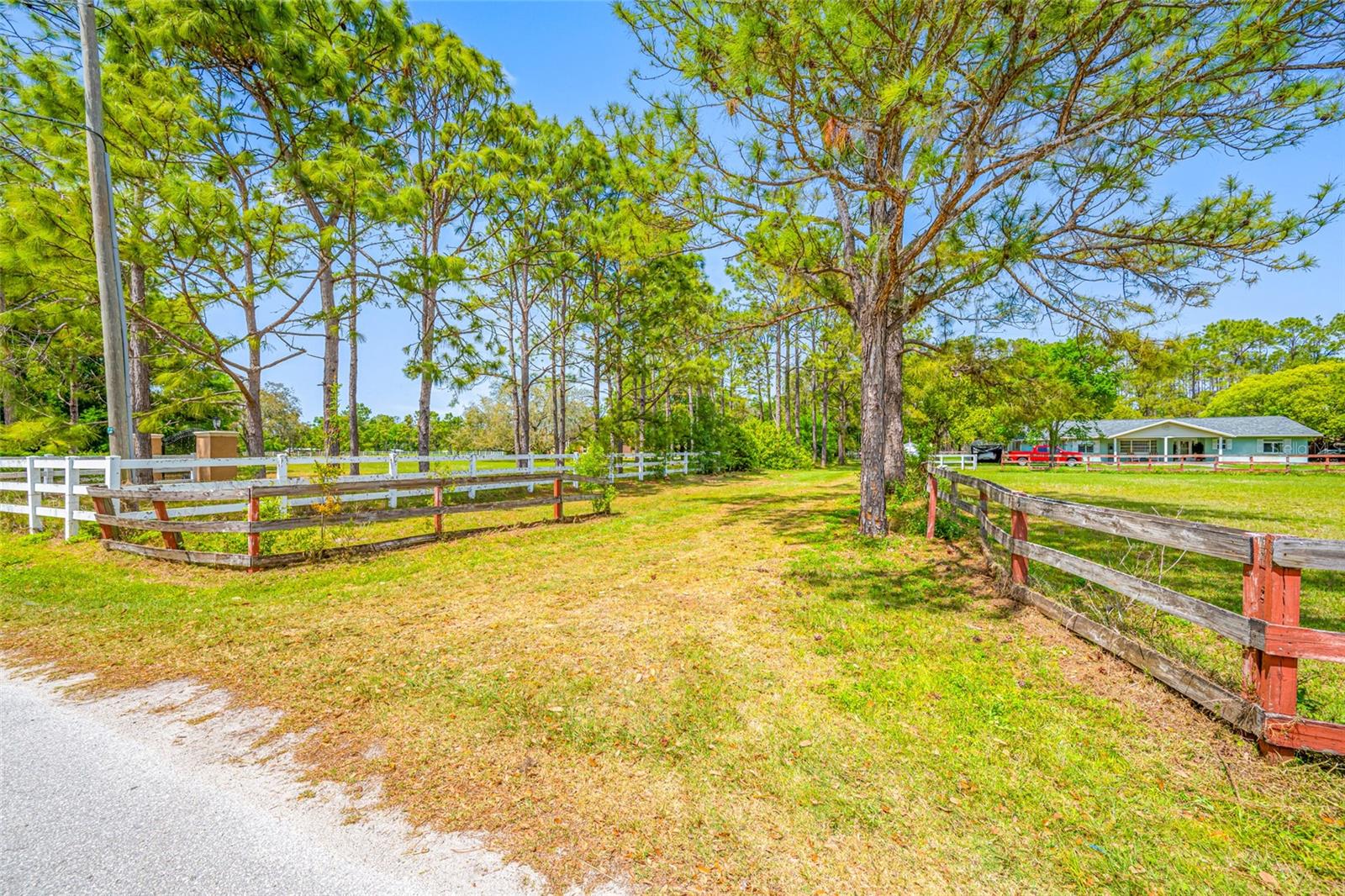 12511 TYLER RUN AVE, ODESSA, FL, 33556