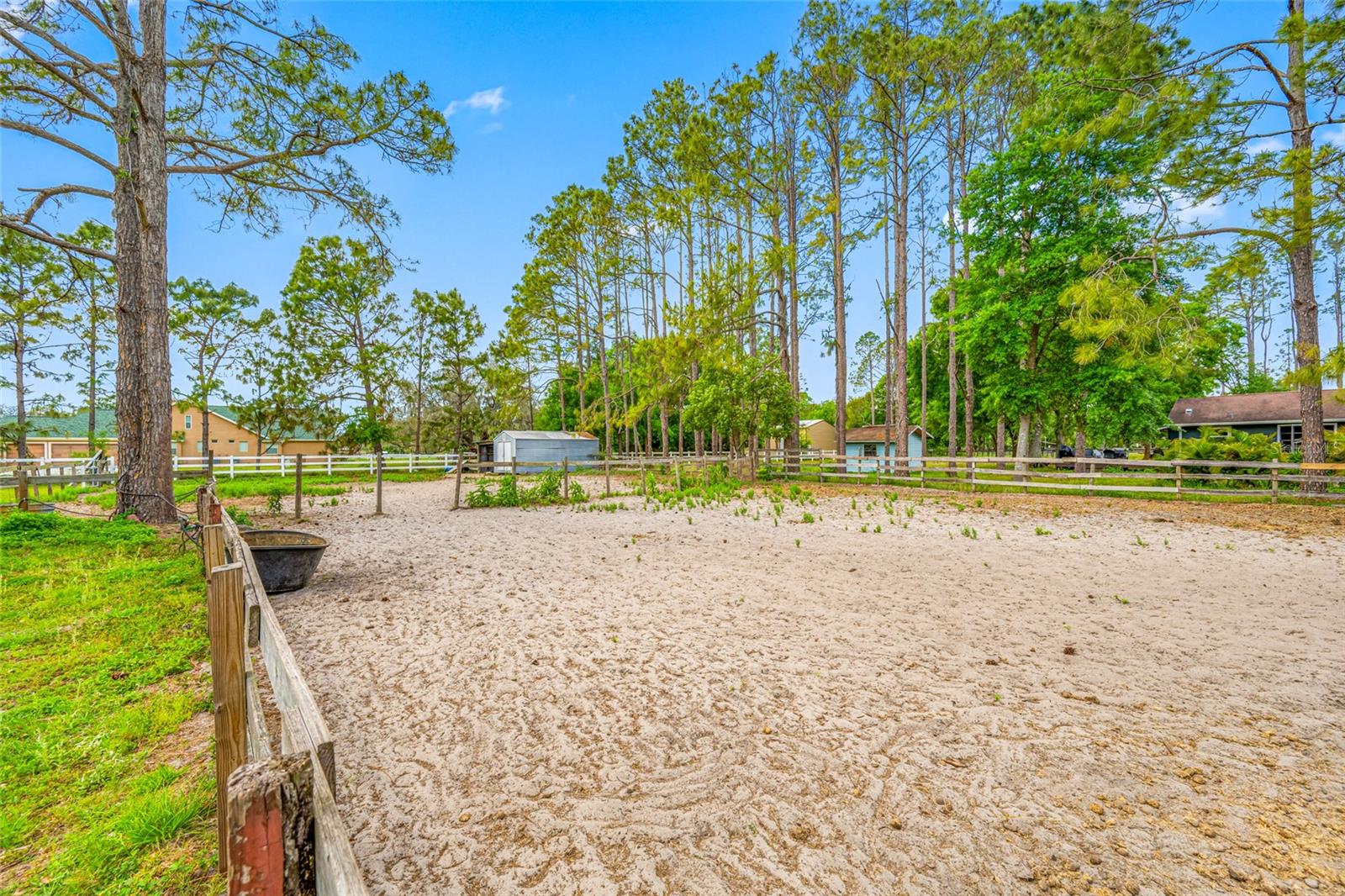 12511 TYLER RUN AVE, ODESSA, FL, 33556