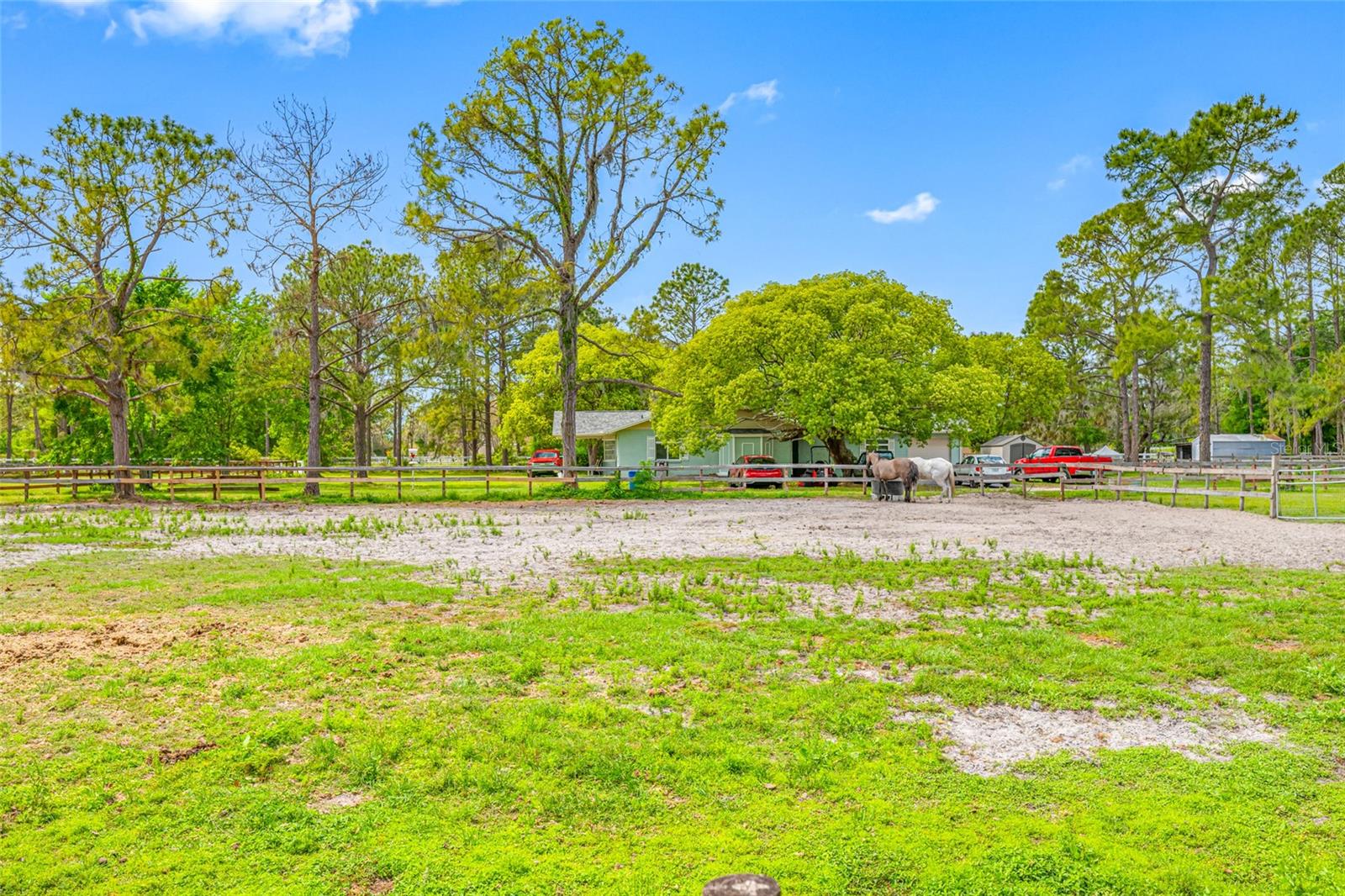 12511 TYLER RUN AVE, ODESSA, FL, 33556