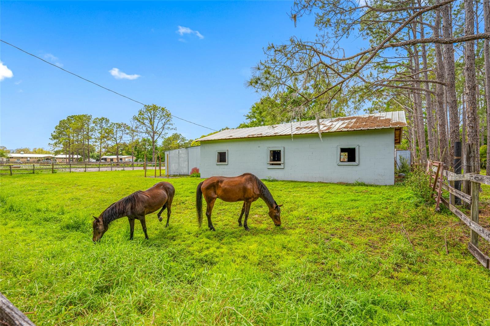 12511 TYLER RUN AVE, ODESSA, FL, 33556