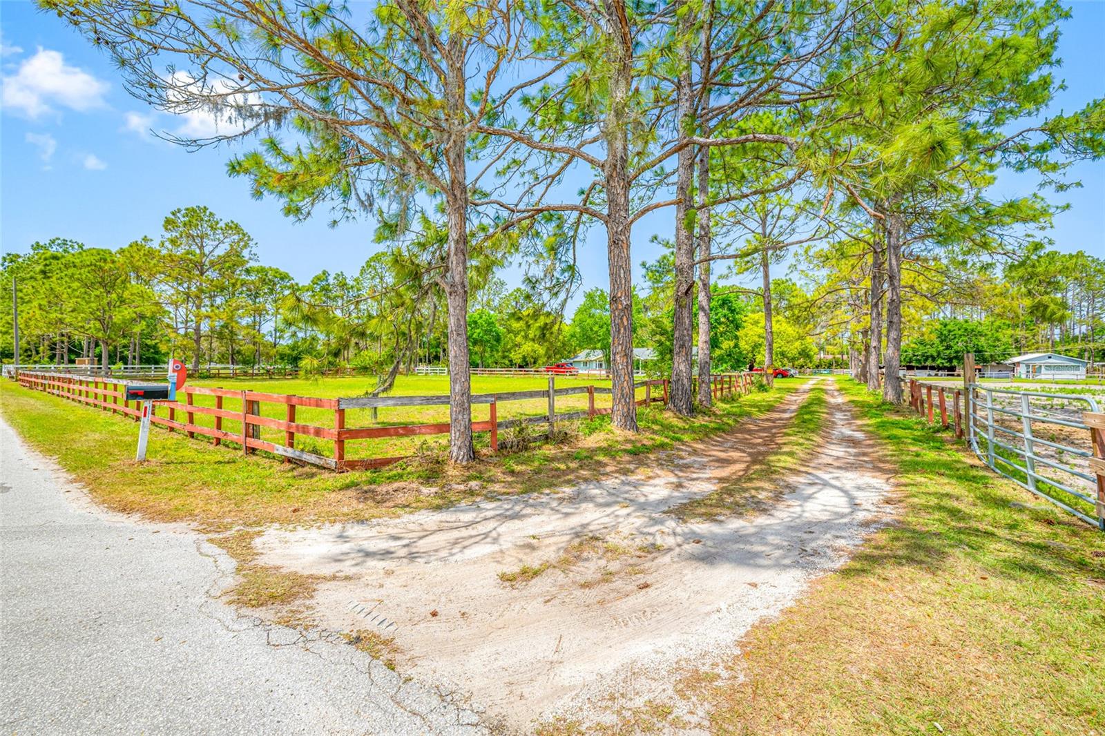 12511 TYLER RUN AVE, ODESSA, FL, 33556