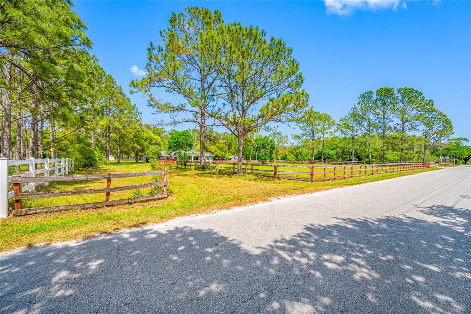 12511 TYLER RUN AVE, ODESSA, FL, 33556