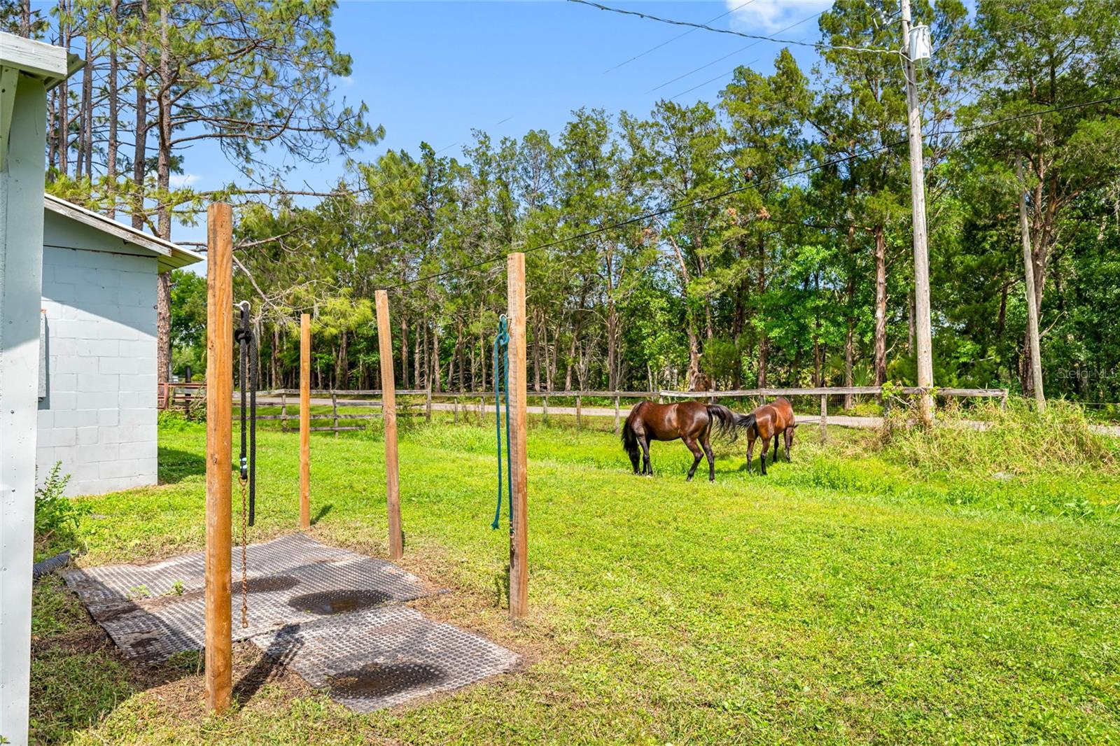 12511 TYLER RUN AVE, ODESSA, FL, 33556
