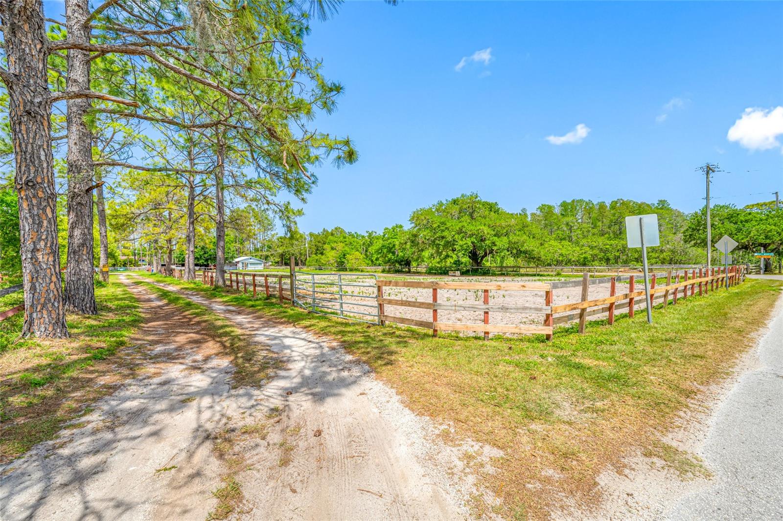12511 TYLER RUN AVE, ODESSA, FL, 33556