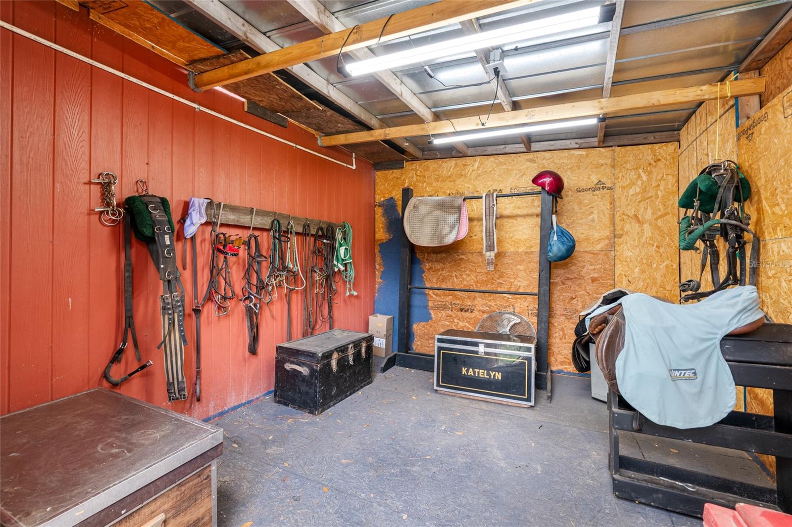 12511 TYLER RUN AVE, ODESSA, FL, 33556