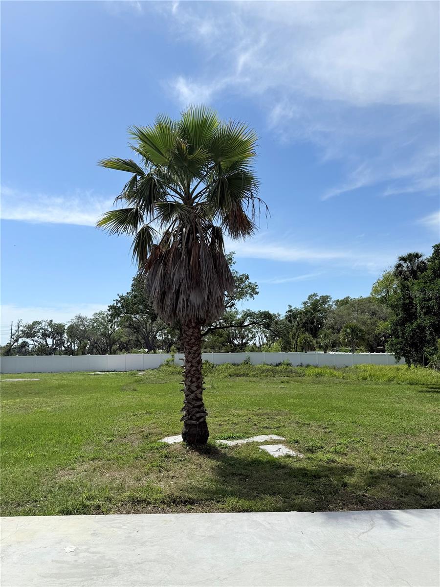 1913 S 47TH ST, TAMPA, FL, 33619