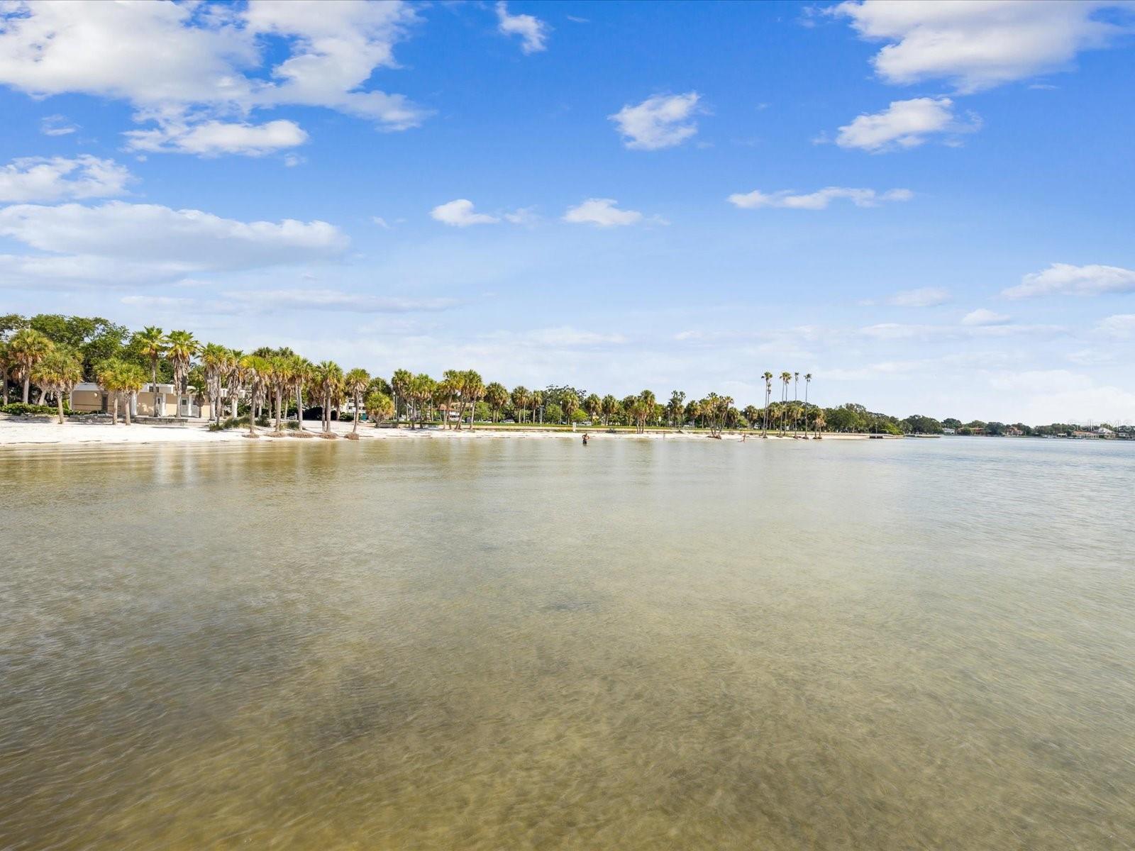 1666 N DAKOTA AVE NE, ST PETERSBURG, FL, 33703