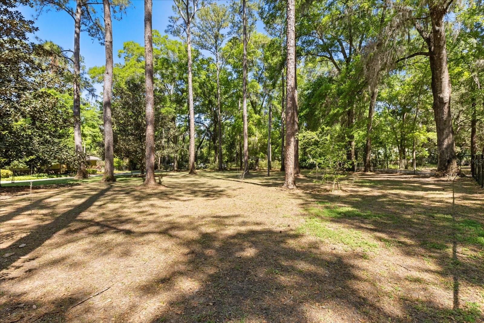 11160 SE 47TH AVE, BELLEVIEW, FL, 34420
