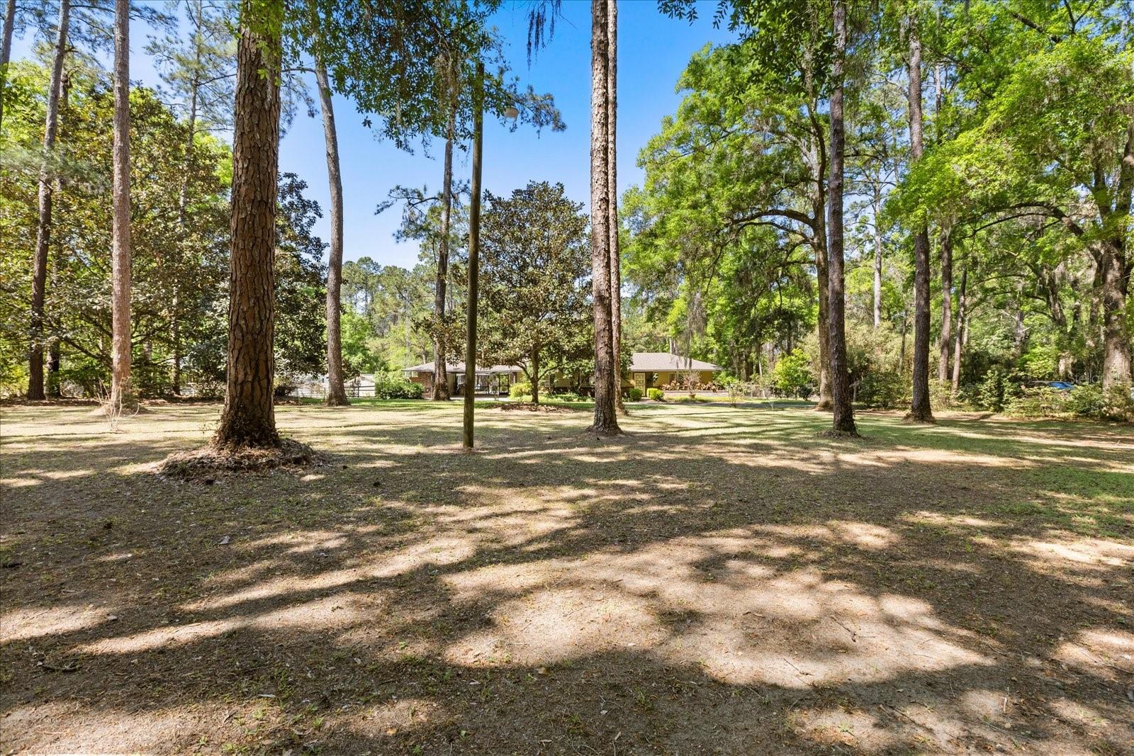 11160 SE 47TH AVE, BELLEVIEW, FL, 34420