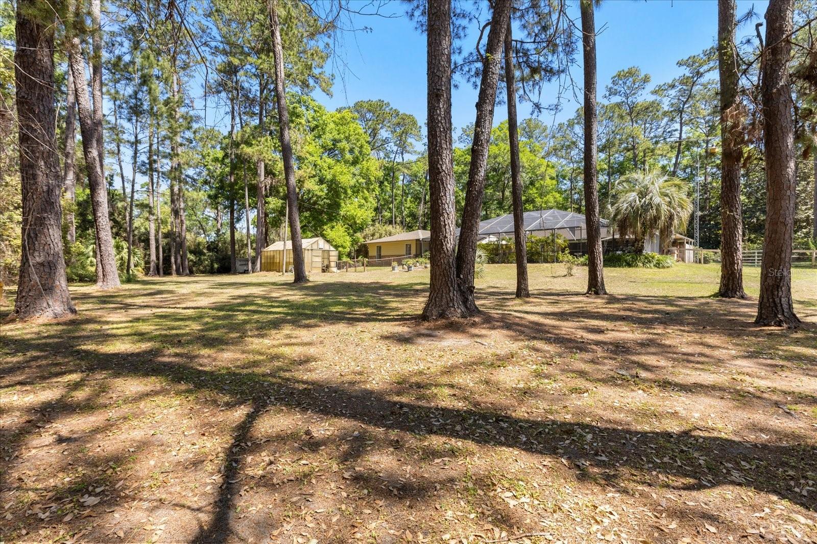11160 SE 47TH AVE, BELLEVIEW, FL, 34420