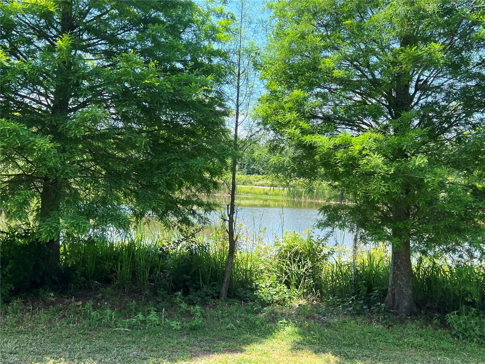 5580 HWY 542 W, WINTER HAVEN, FL, 33880