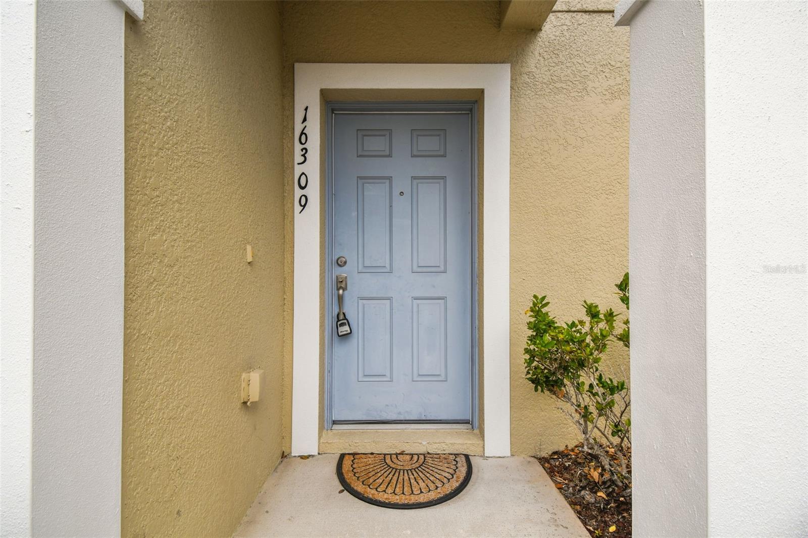 16309 SWAN VIEW CIR, ODESSA, FL, 33556