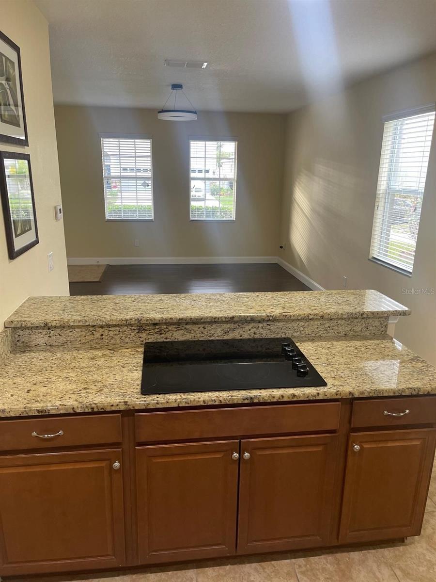 14615 CROSSTON BAY CT, ORLANDO, FL, 32824