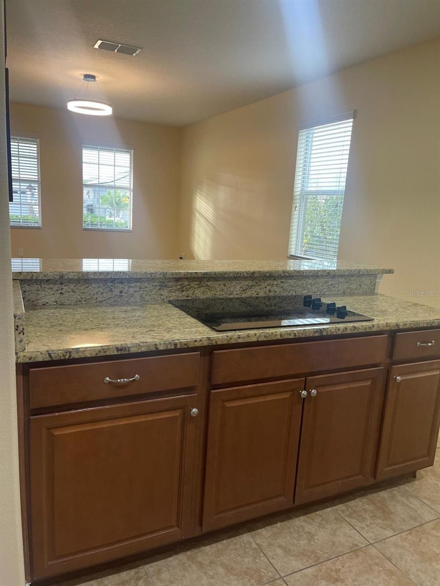 14615 CROSSTON BAY CT, ORLANDO, FL, 32824