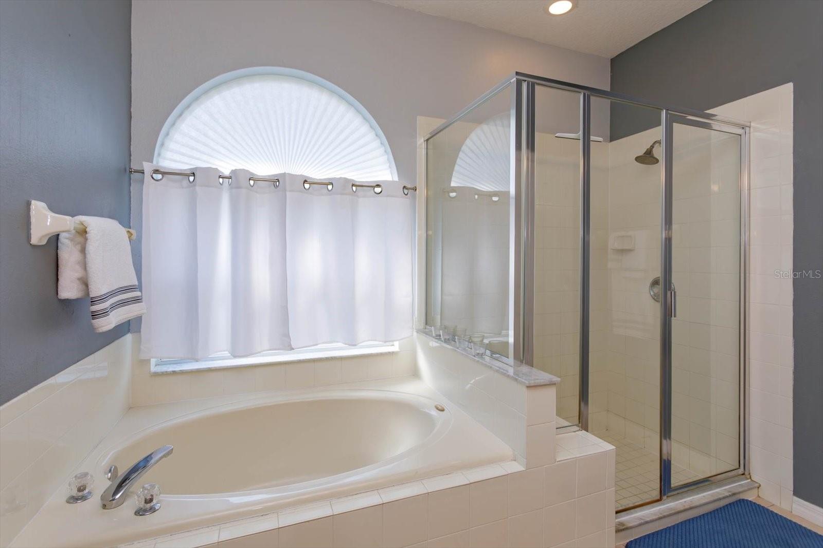 230 BRASSINGTON DR, DEBARY, FL, 32713