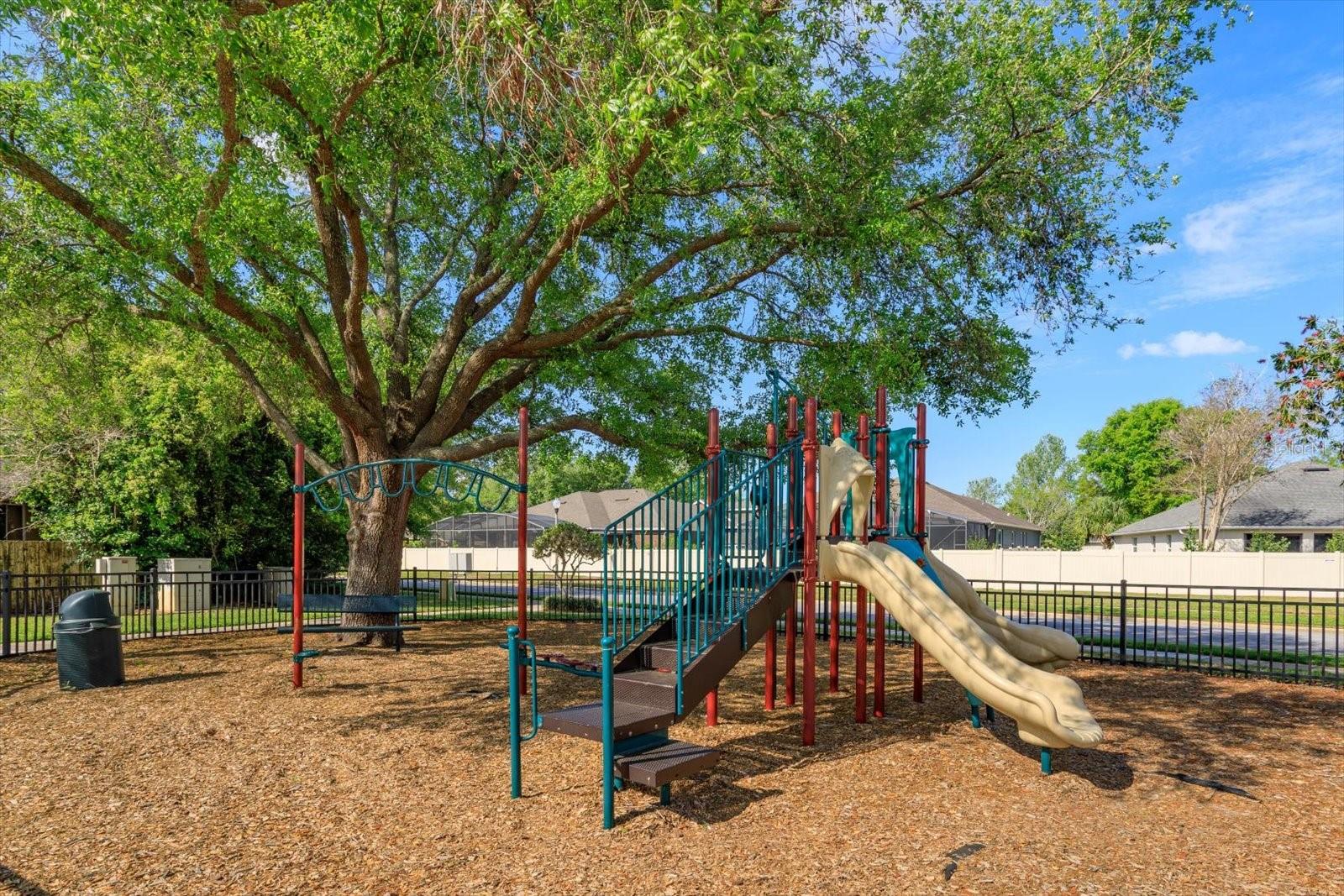 230 BRASSINGTON DR, DEBARY, FL, 32713