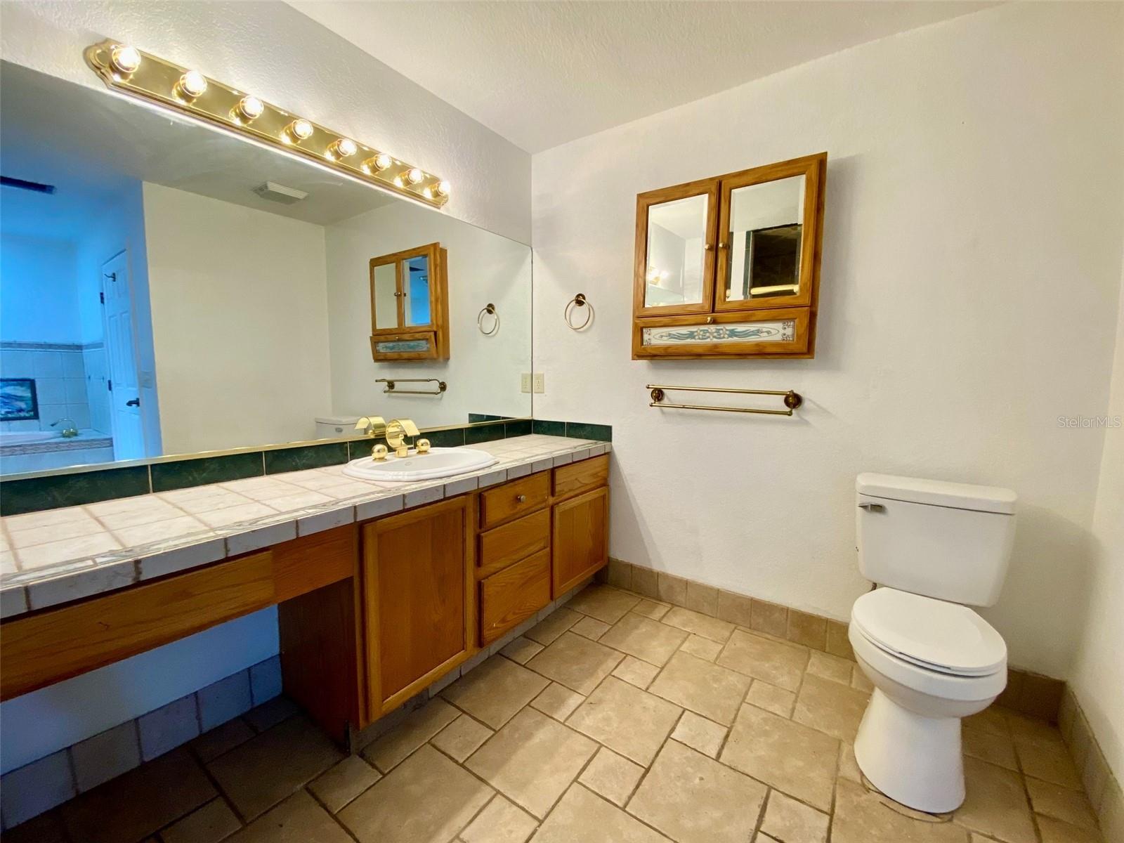 13660 SE 80TH AVE, SUMMERFIELD, FL, 34491