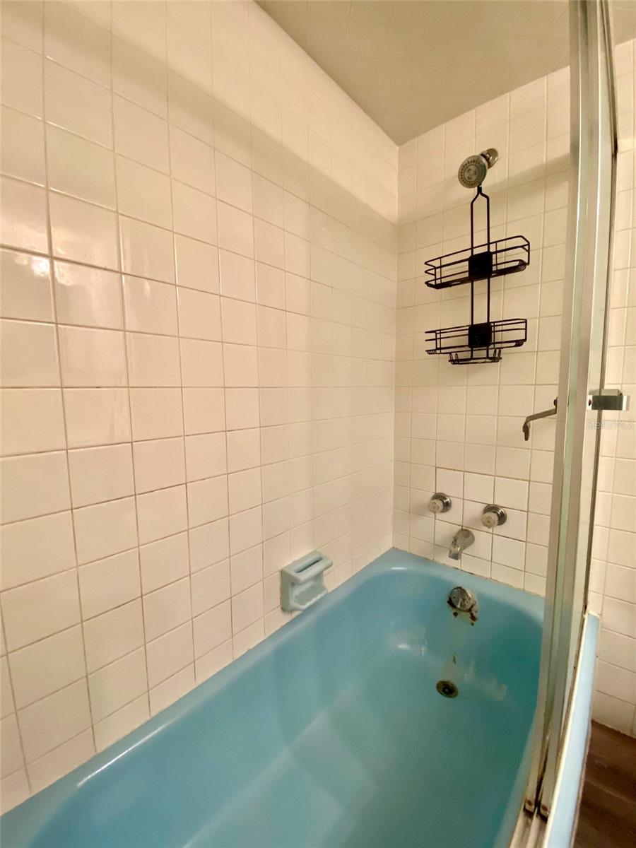 13660 SE 80TH AVE, SUMMERFIELD, FL, 34491