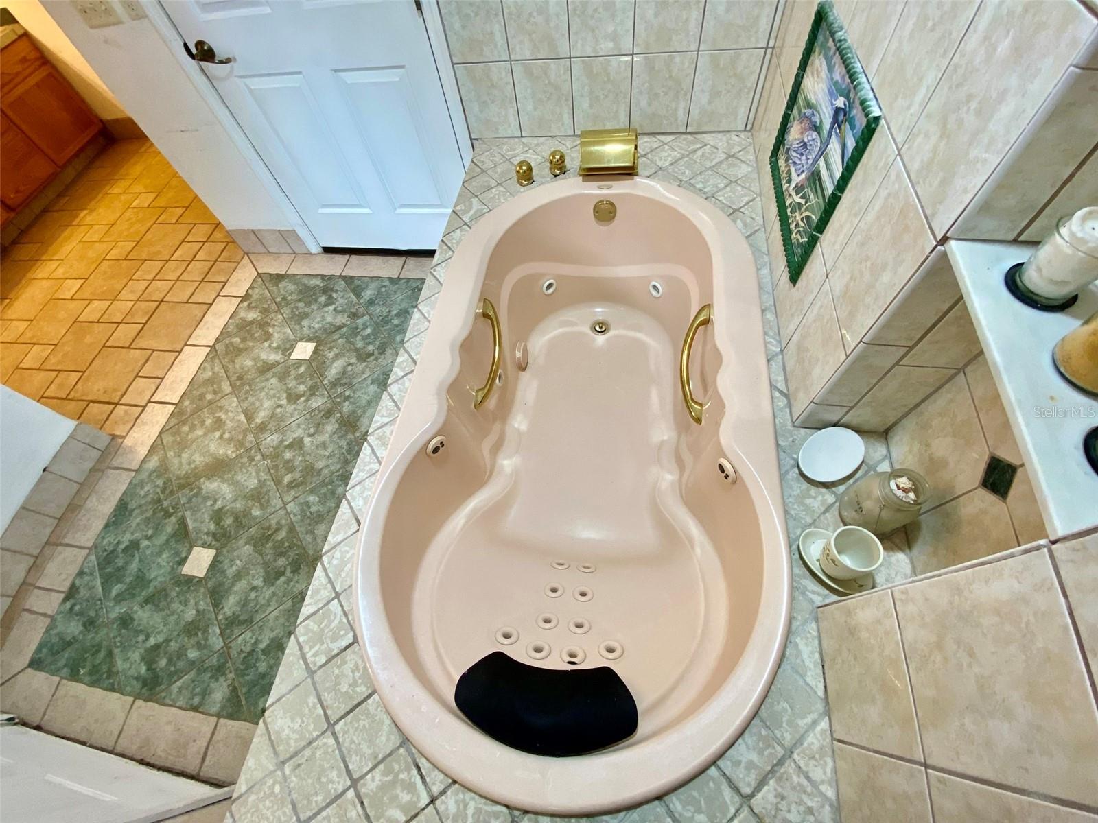 13660 SE 80TH AVE, SUMMERFIELD, FL, 34491