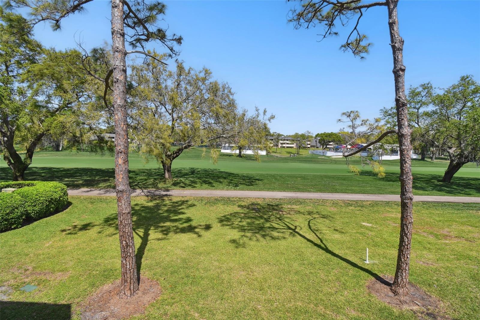 36750 US 19 N #12205, PALM HARBOR, FL, 34684