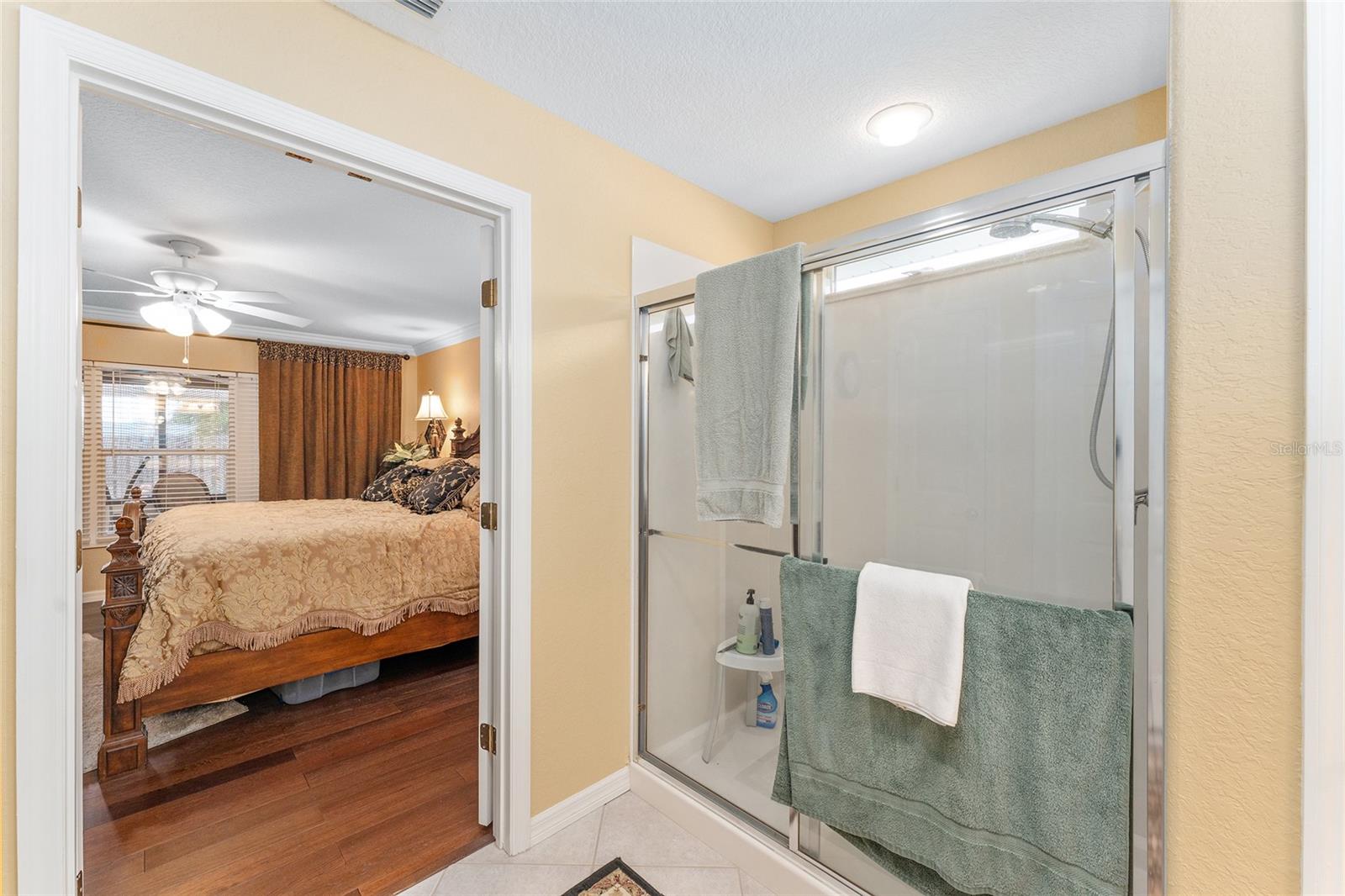 9171 SE 118TH LOOP, SUMMERFIELD, FL, 34491