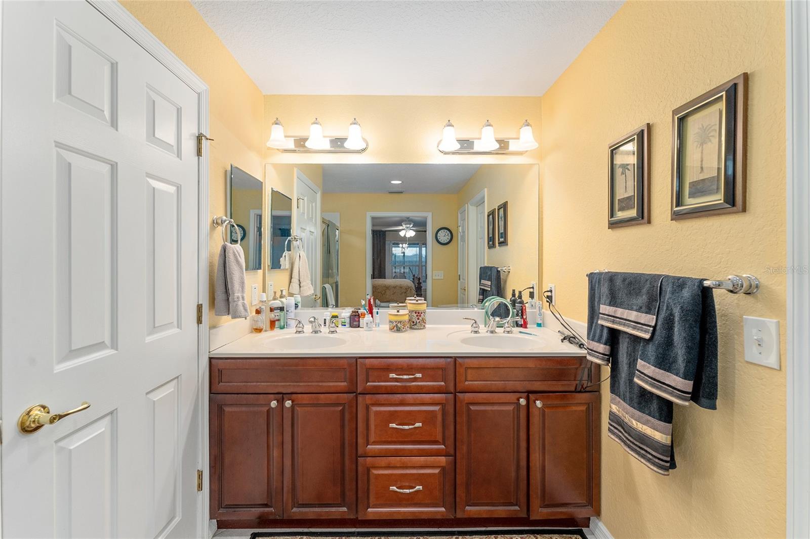 9171 SE 118TH LOOP, SUMMERFIELD, FL, 34491