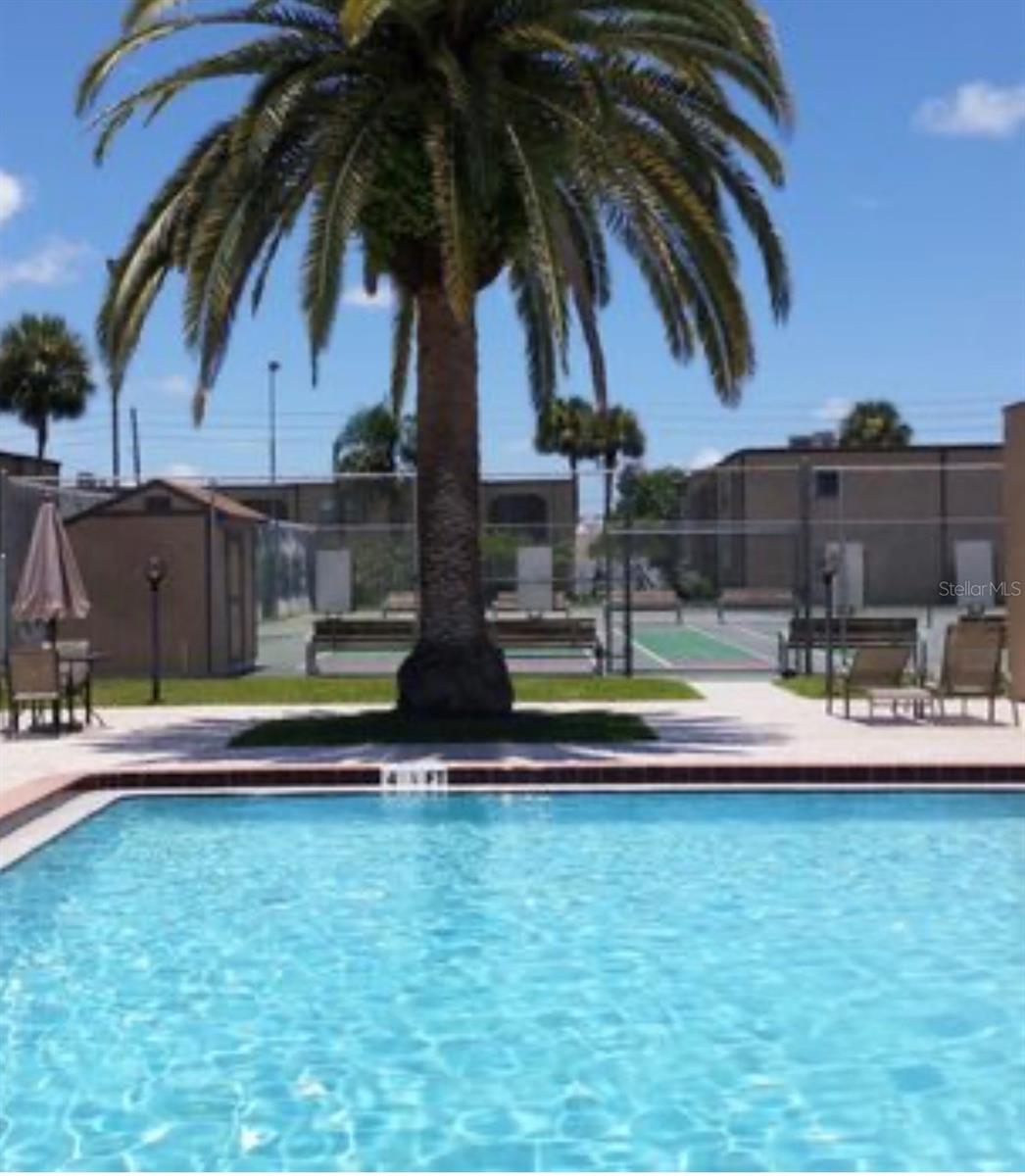 7701 STARKEY RD #233, SEMINOLE, FL, 33777