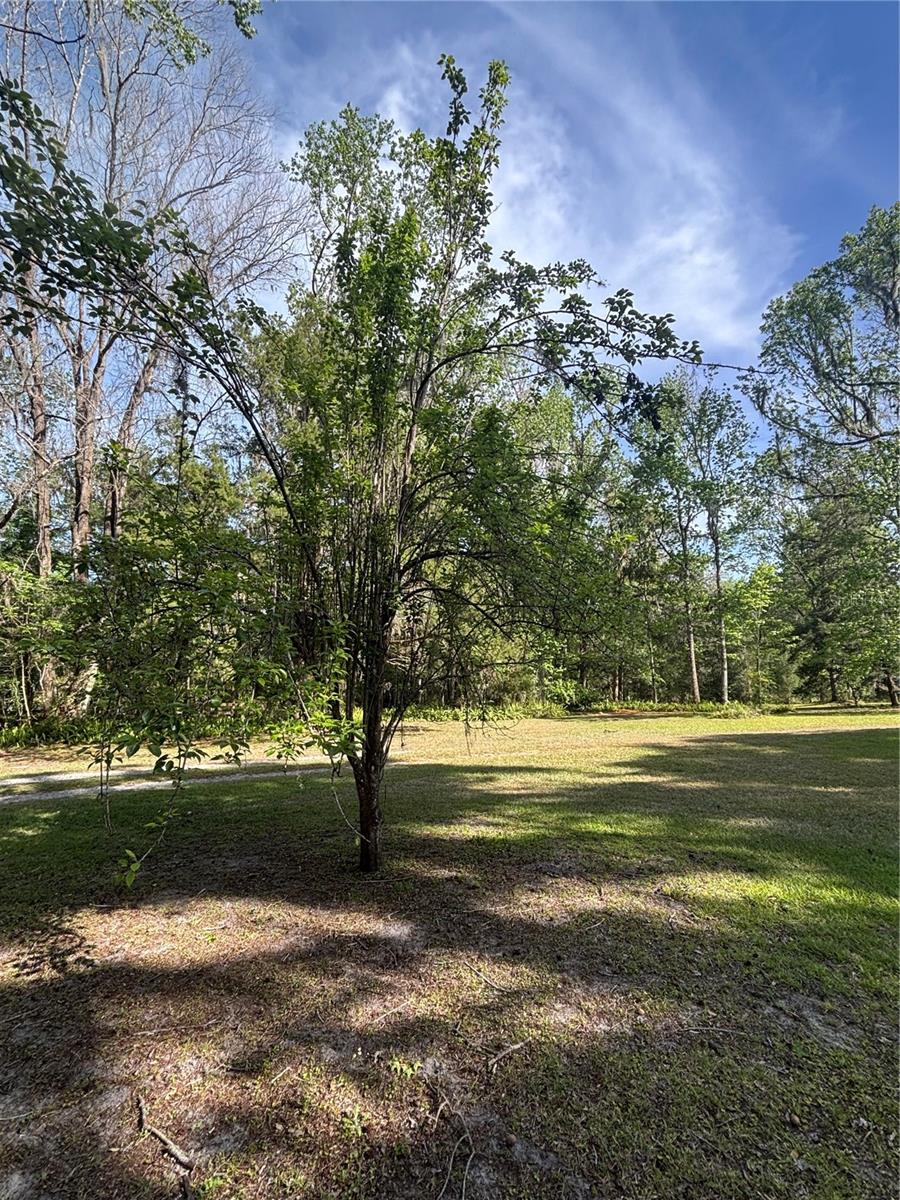 23060 WHITMAN RD, BROOKSVILLE, FL, 34601