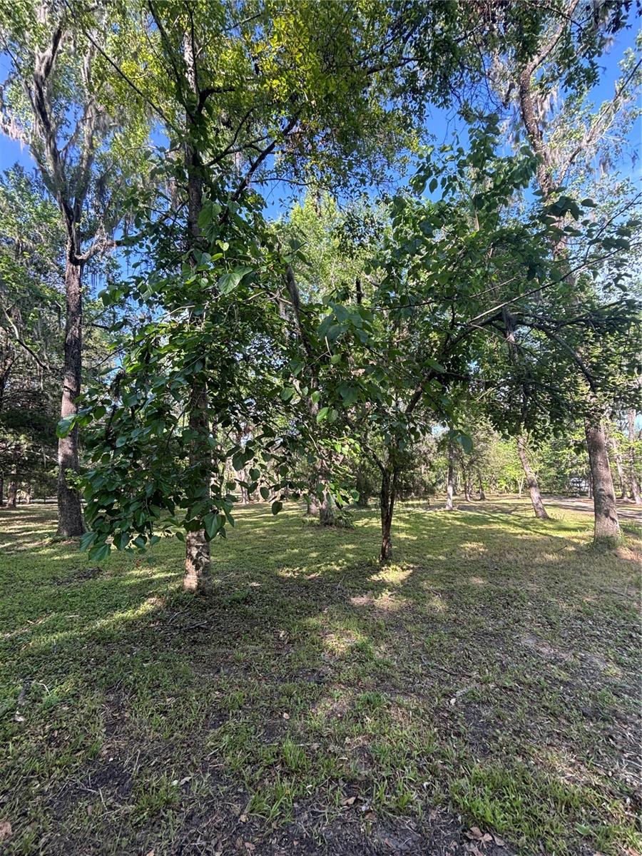 23060 WHITMAN RD, BROOKSVILLE, FL, 34601