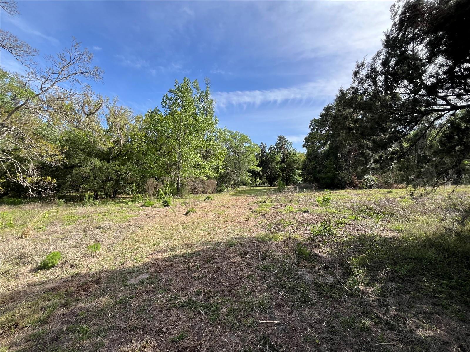 23060 WHITMAN RD, BROOKSVILLE, FL, 34601