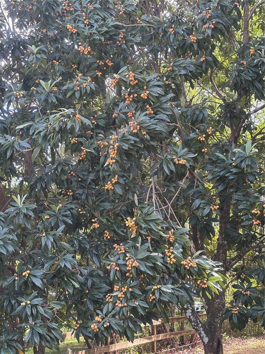 23060 WHITMAN RD, BROOKSVILLE, FL, 34601