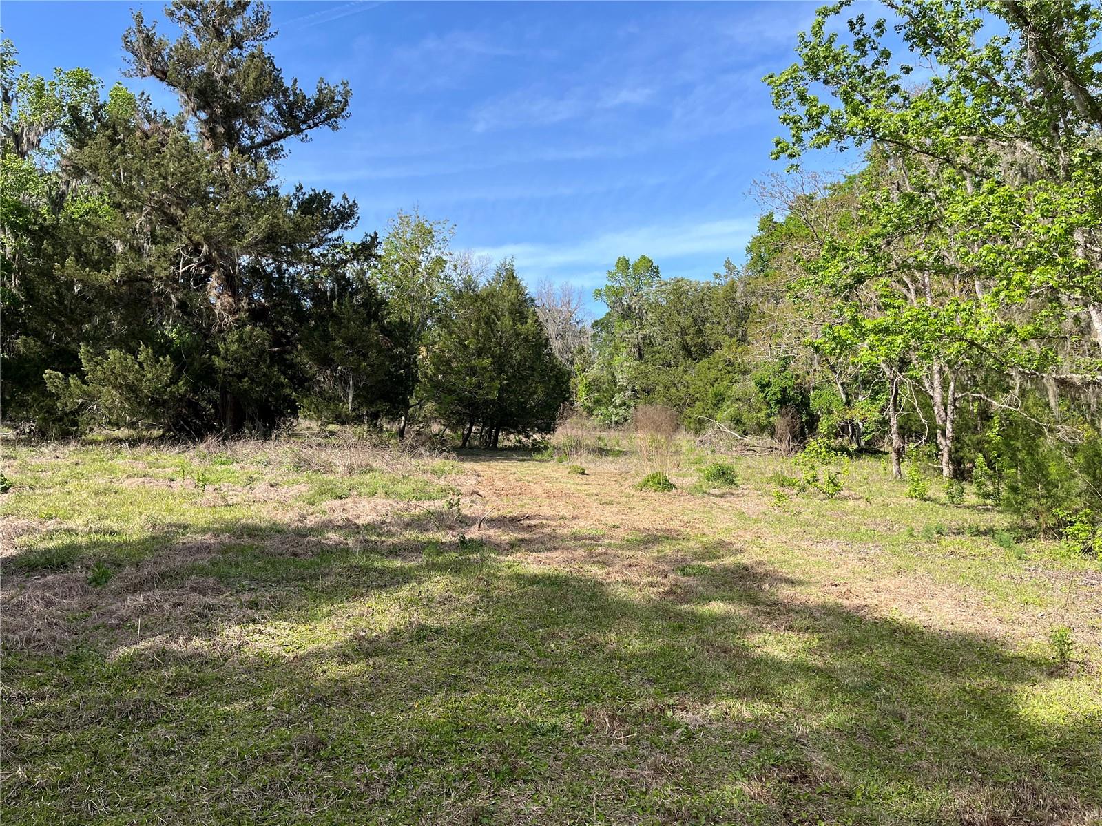 23060 WHITMAN RD, BROOKSVILLE, FL, 34601