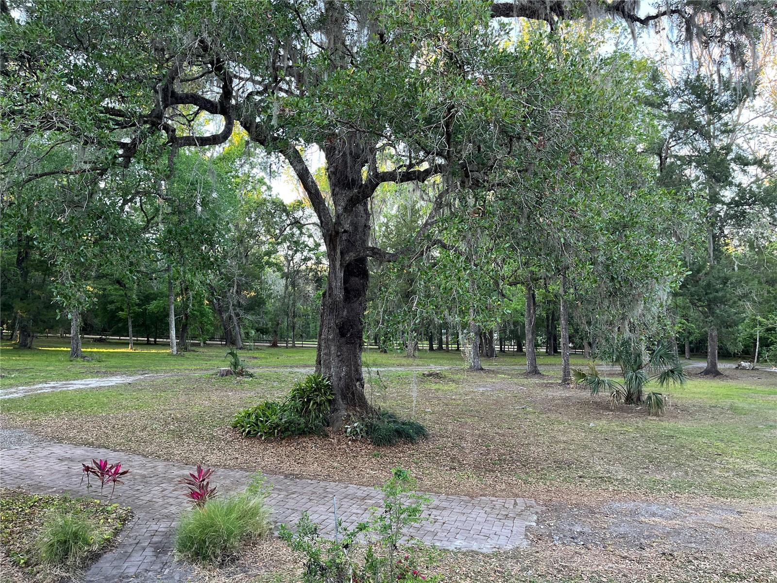 23060 WHITMAN RD, BROOKSVILLE, FL, 34601