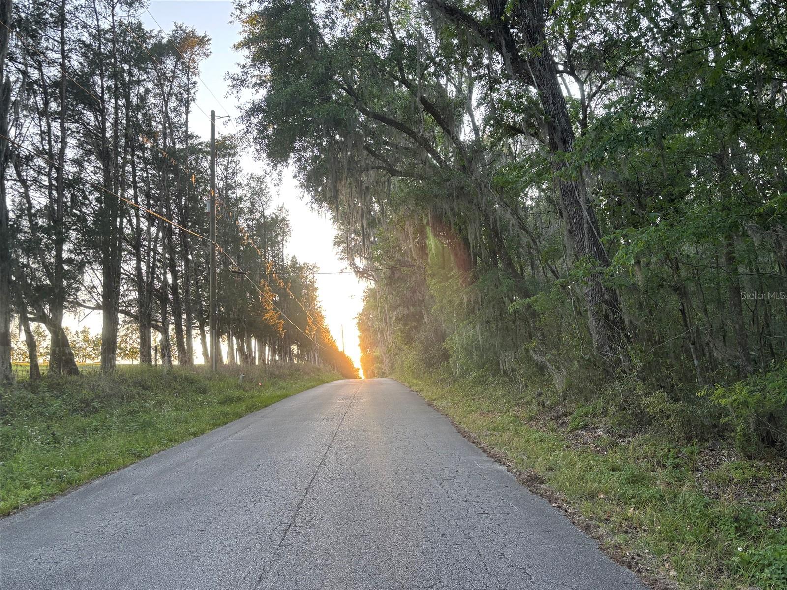 23060 WHITMAN RD, BROOKSVILLE, FL, 34601