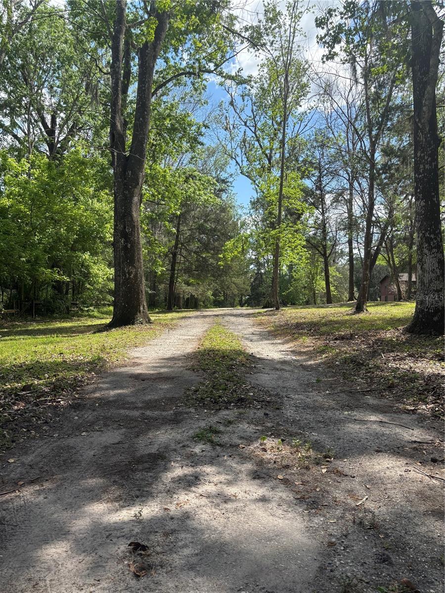 23060 WHITMAN RD, BROOKSVILLE, FL, 34601