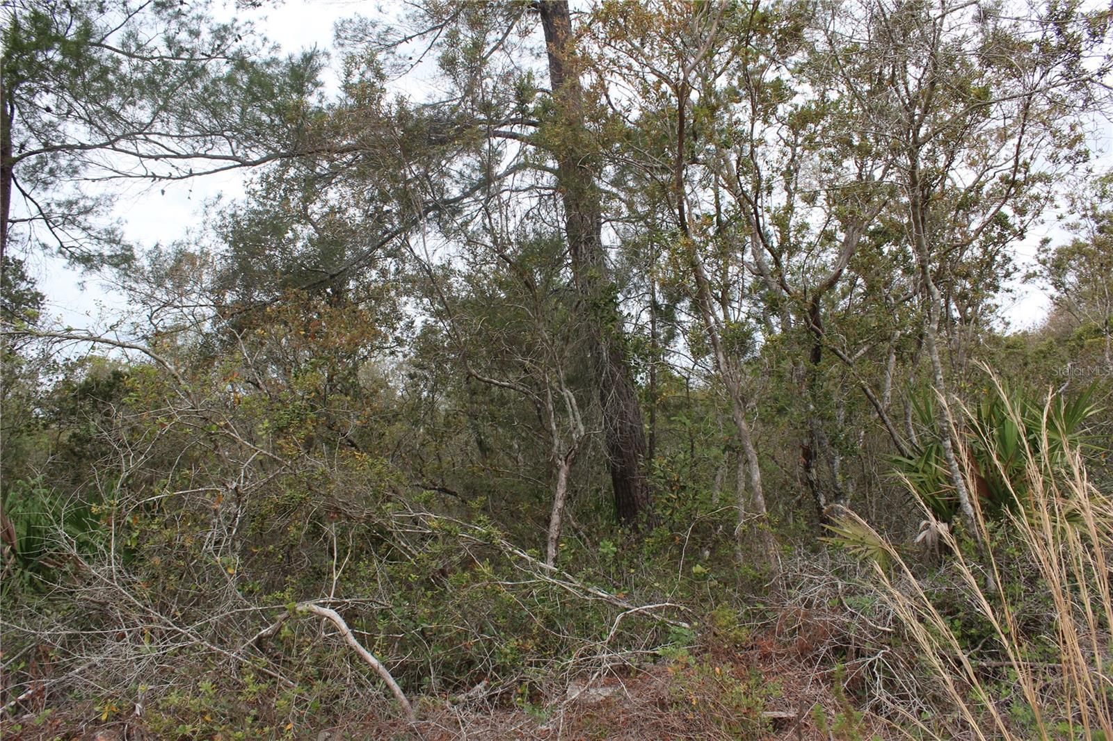 235 RIDGEWOOD AVE, ORANGE CITY, FL, 32763