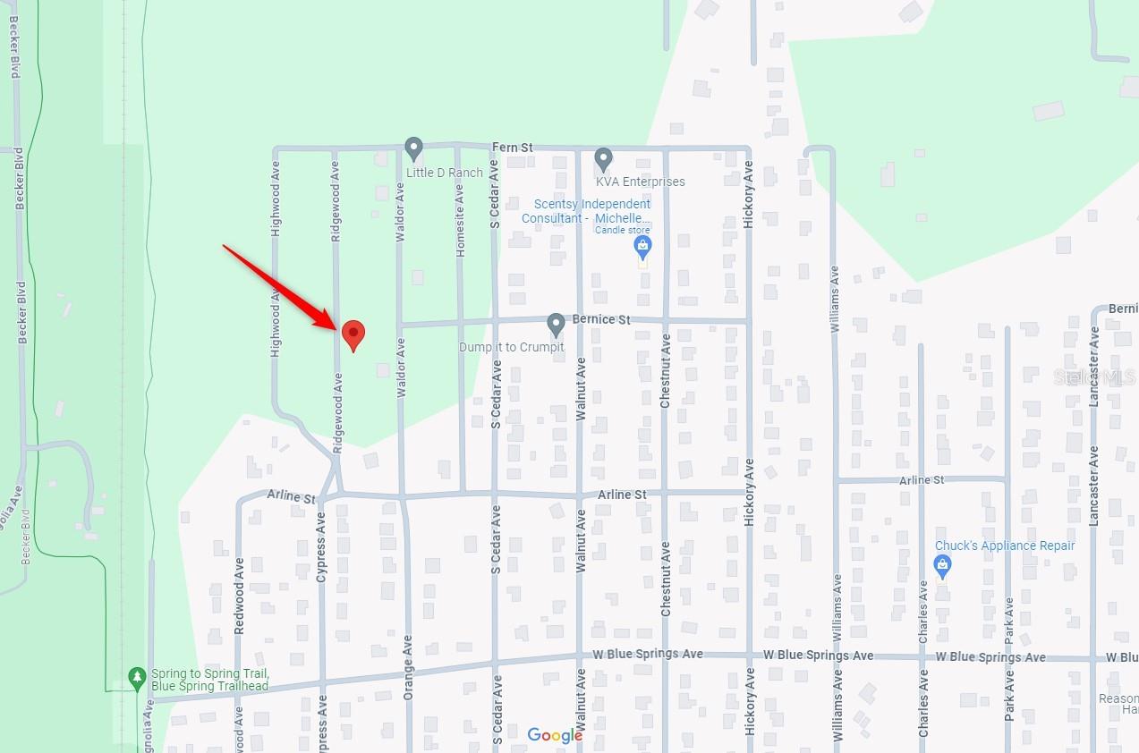 235 RIDGEWOOD AVE, ORANGE CITY, FL, 32763