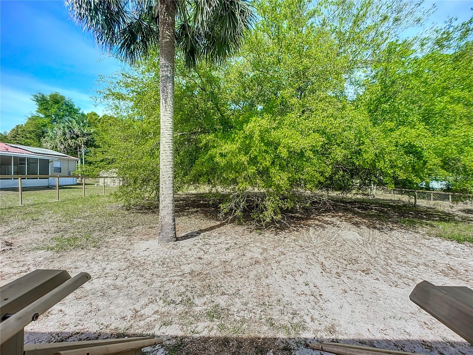 249 COUNTY ROAD 309, SATSUMA, FL, 32189