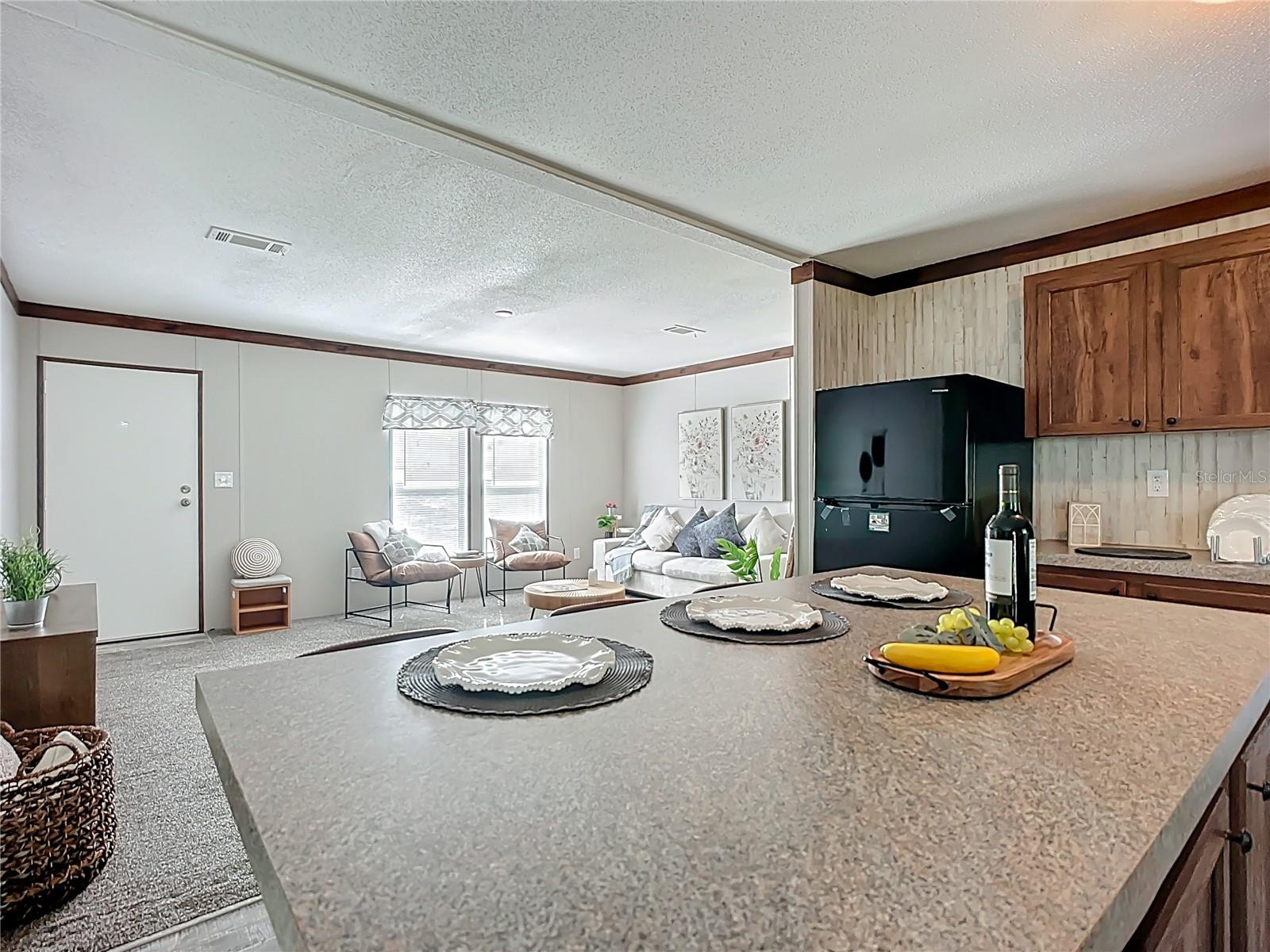 249 COUNTY ROAD 309, SATSUMA, FL, 32189