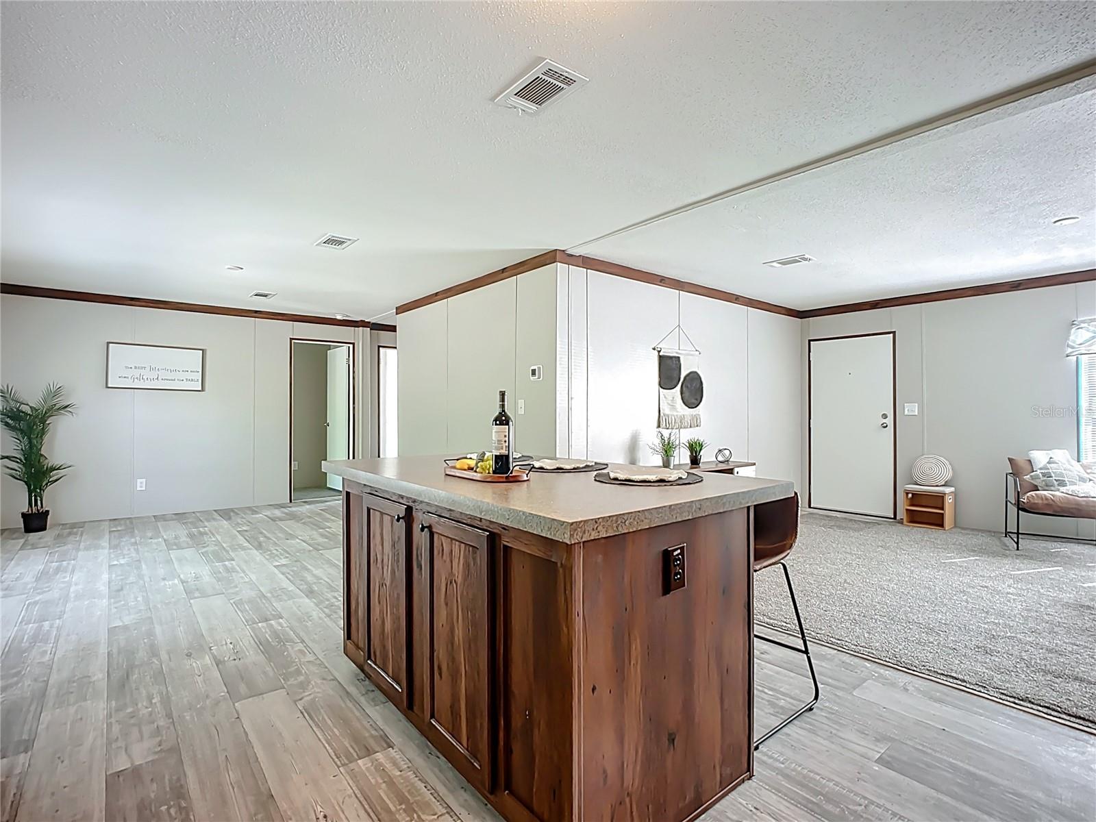 249 COUNTY ROAD 309, SATSUMA, FL, 32189