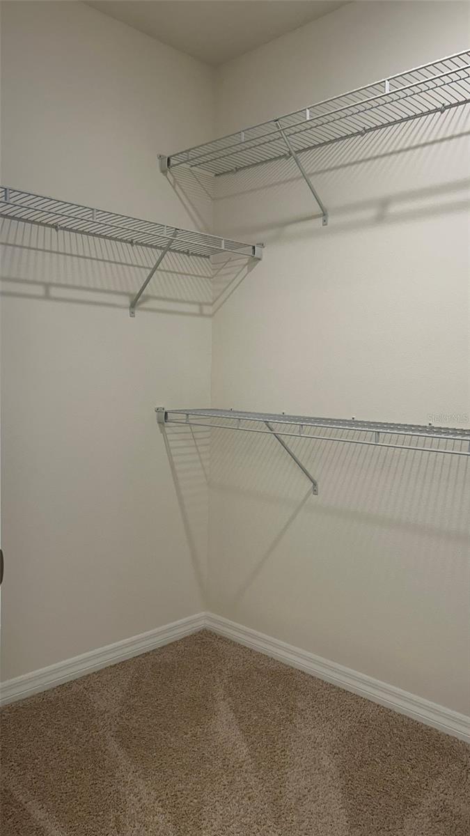 11015 BOSTWICK ALY, WINTER GARDEN, FL, 34787