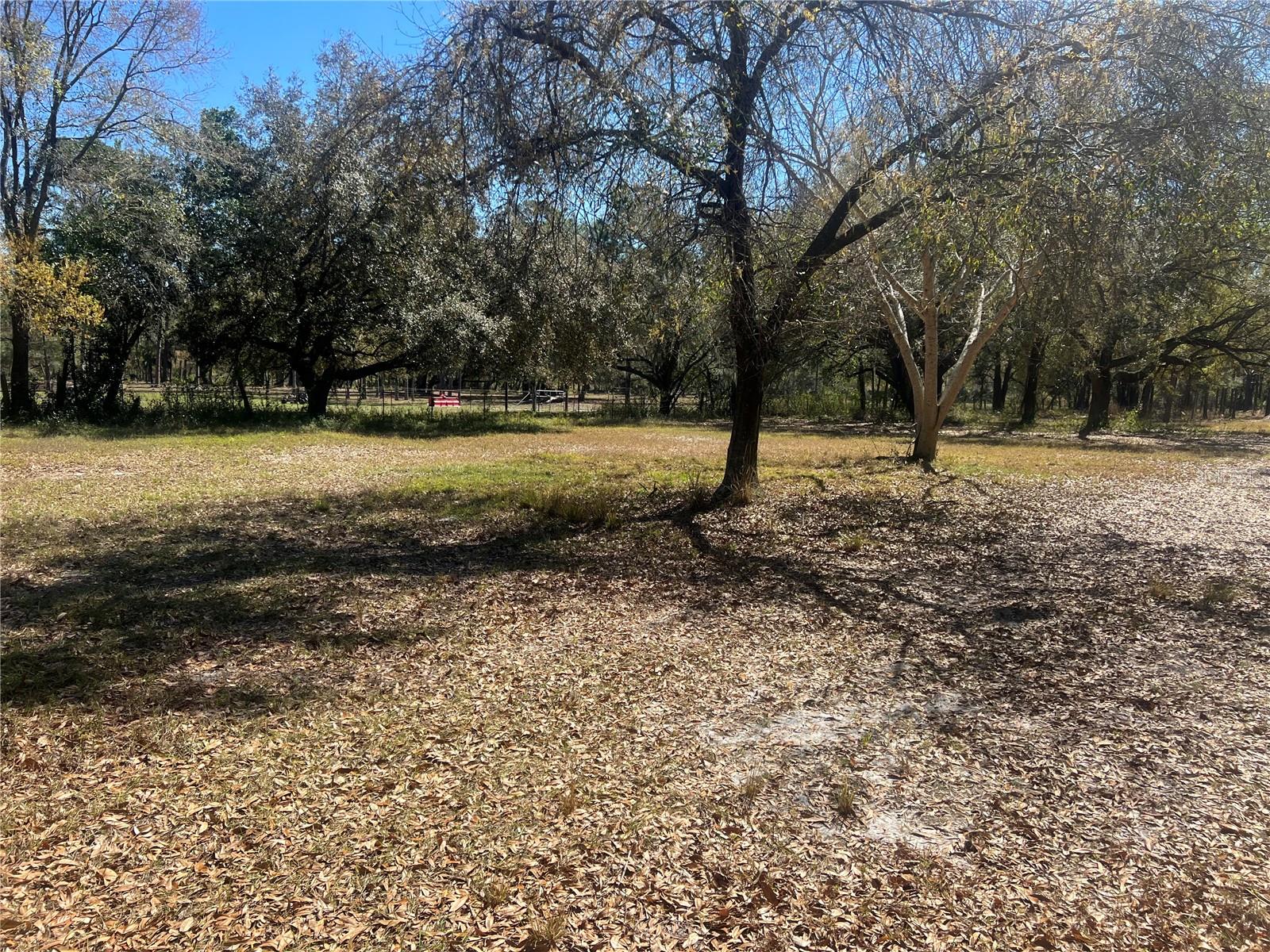 0 HWY 542 W, WINTER HAVEN, FL, 33880