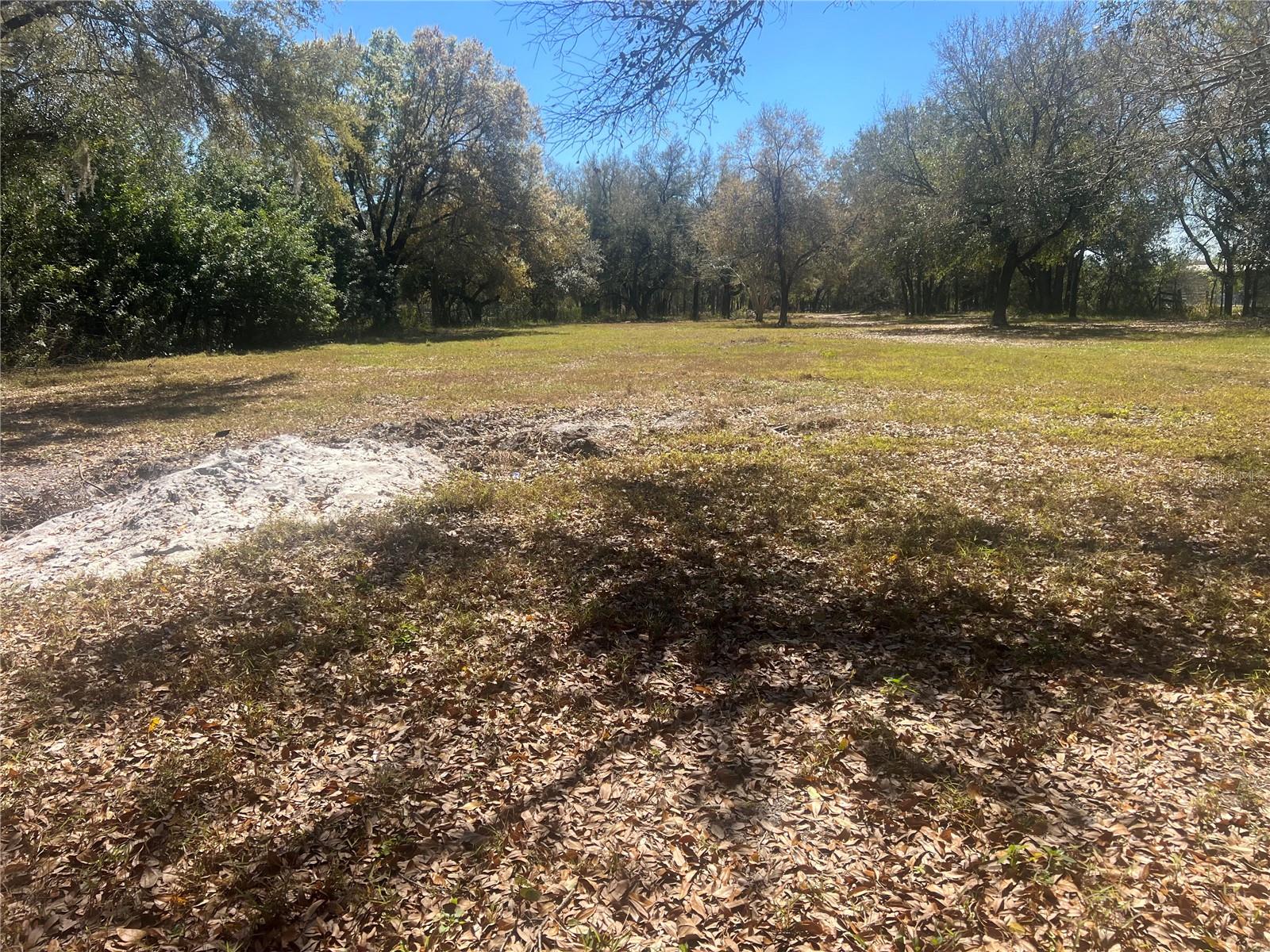 0 HWY 542 W, WINTER HAVEN, FL, 33880