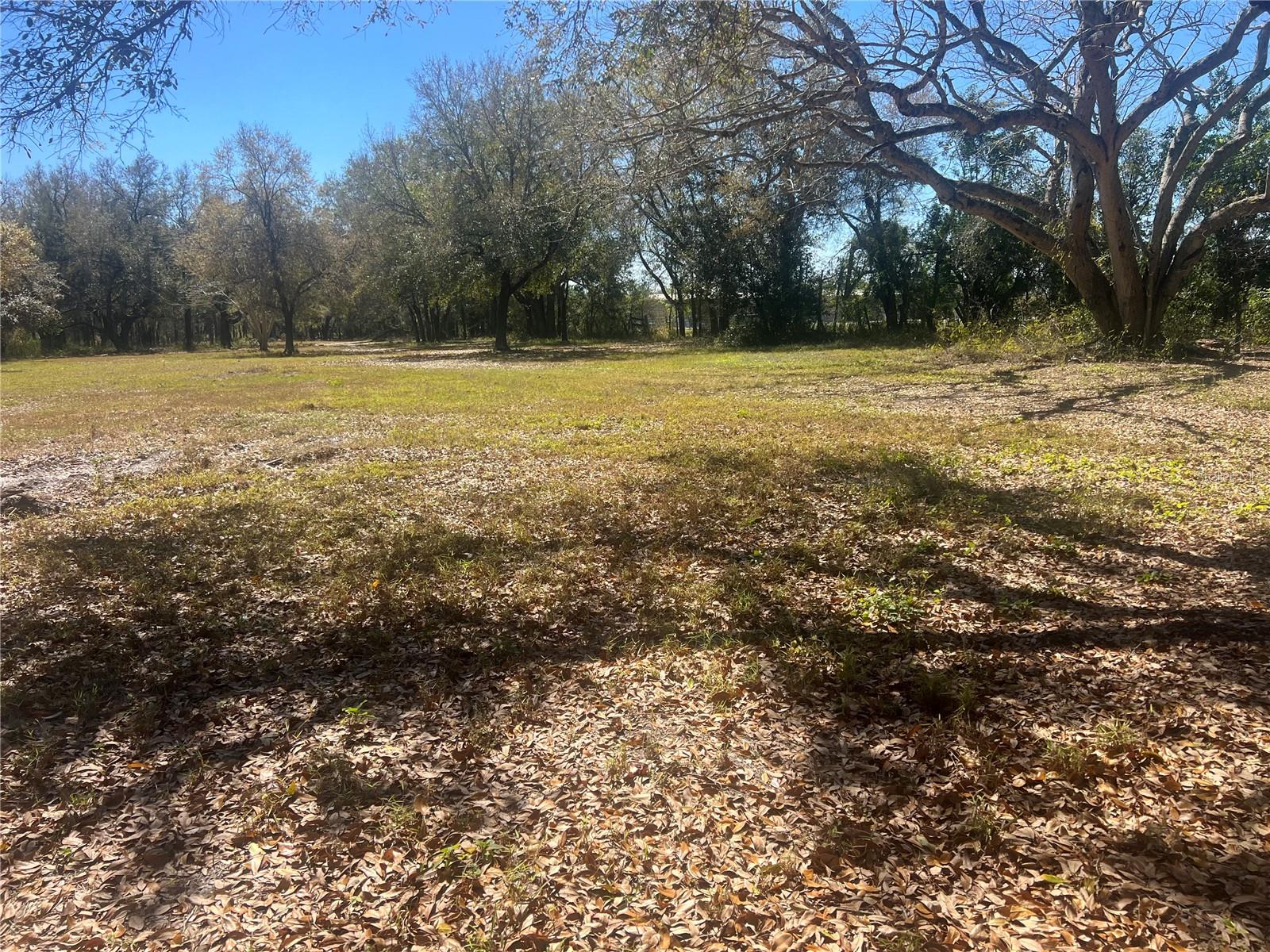 0 HWY 542 W, WINTER HAVEN, FL, 33880