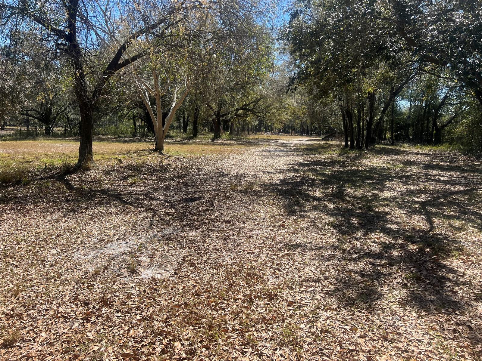 0 HWY 542 W, WINTER HAVEN, FL, 33880