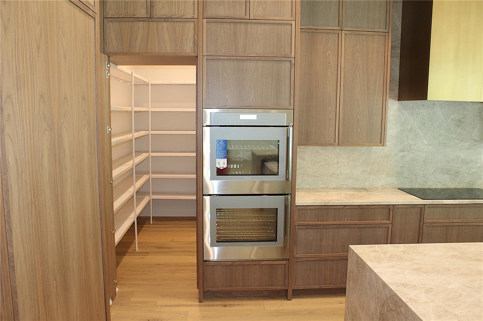 17720 ROYAL EAGLE LN, LUTZ, FL, 33549