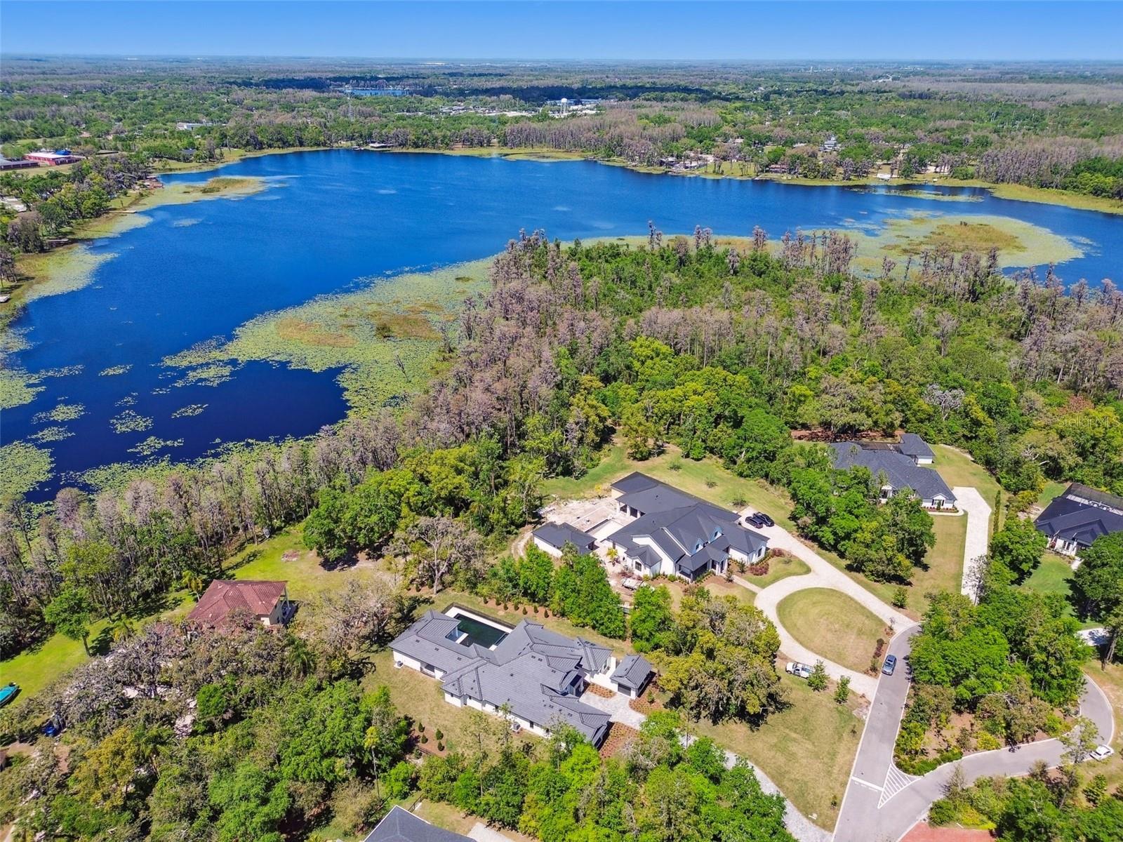 17720 ROYAL EAGLE LN, LUTZ, FL, 33549