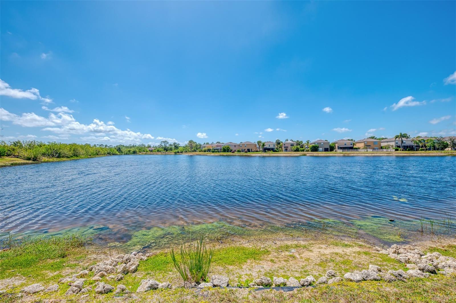 12983 TIGERS EYE DR, VENICE, FL, 34292