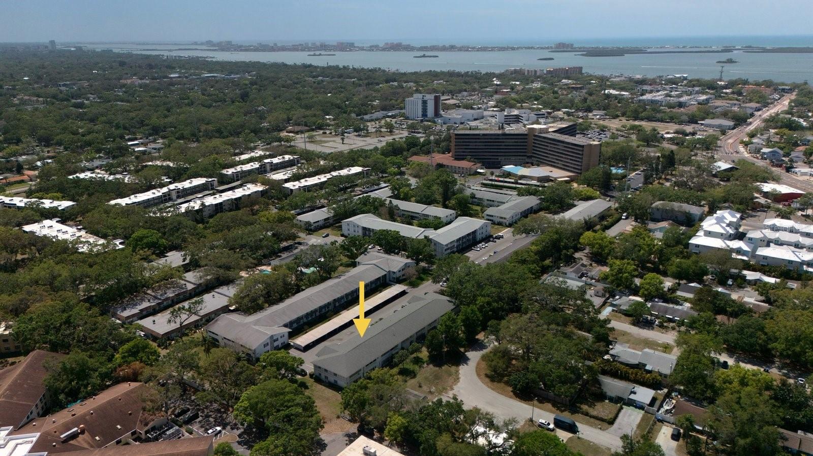 100 GLENNES LN #207, DUNEDIN, FL, 34698